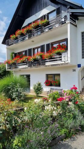 Ravna Gora Apartment | Apartman Bosco