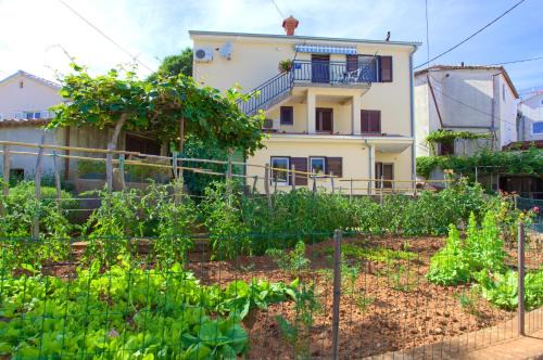 Vantacici Apartment | Apartment Iva