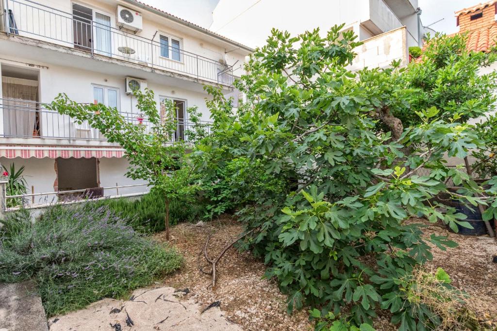 Primosten Apartment | Apartment Marija D.