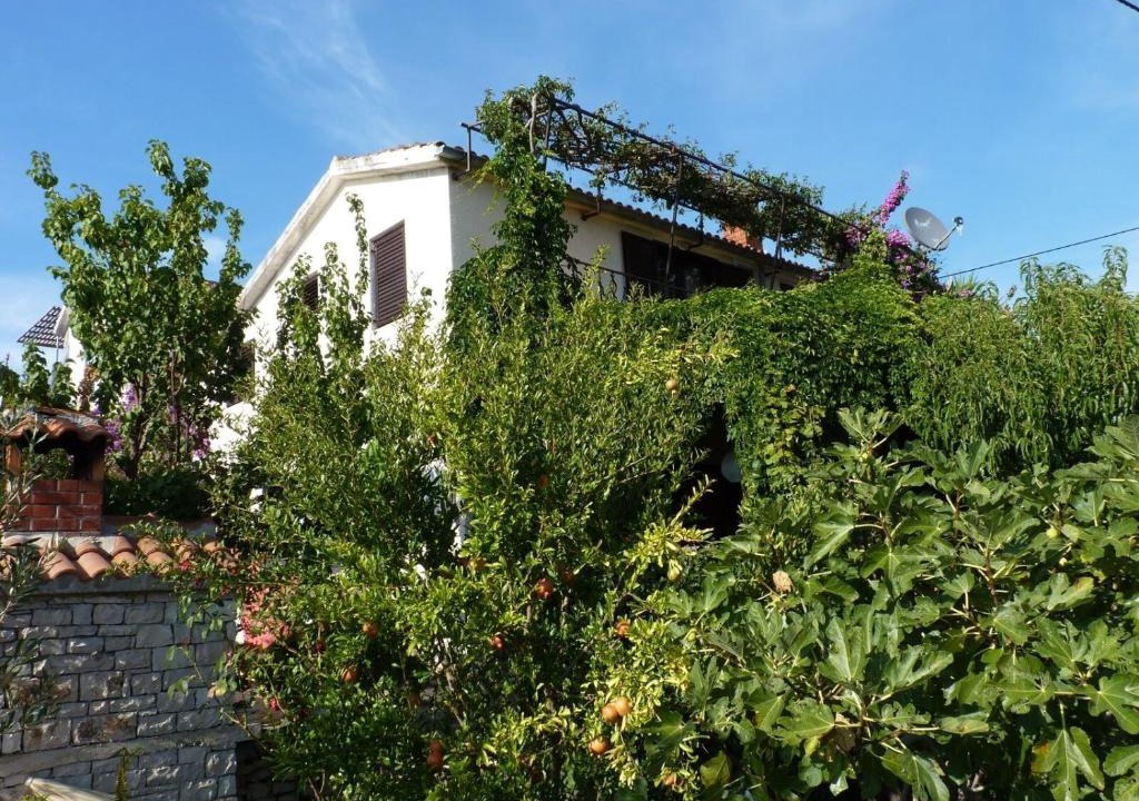 Maslinica Apartment | Apartment Zeljko