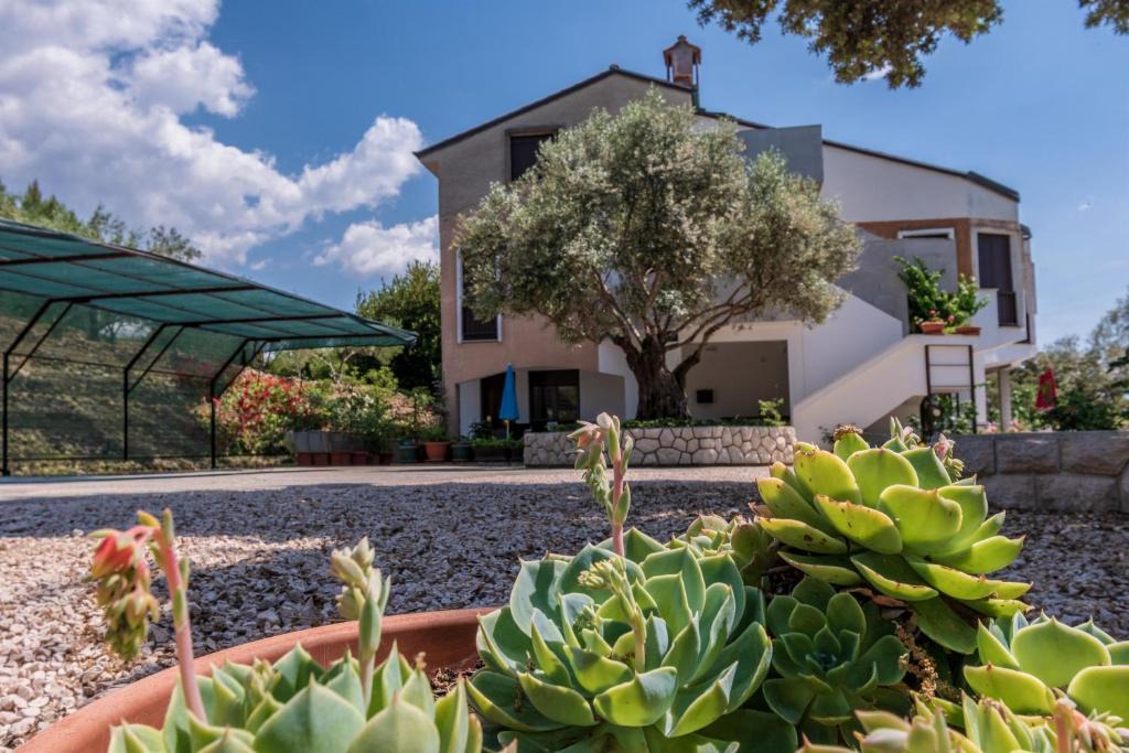 Kampor Apartment | Apartments Villa Ana