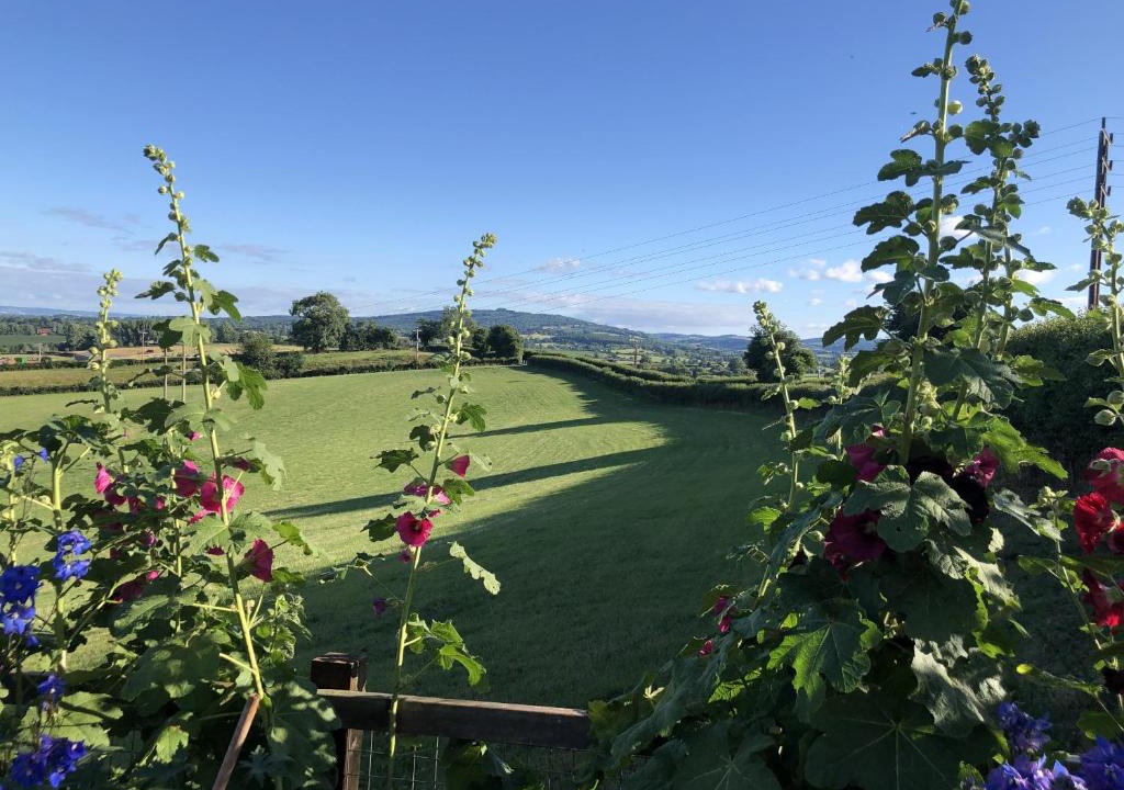 Newent Apartment | Betula Views