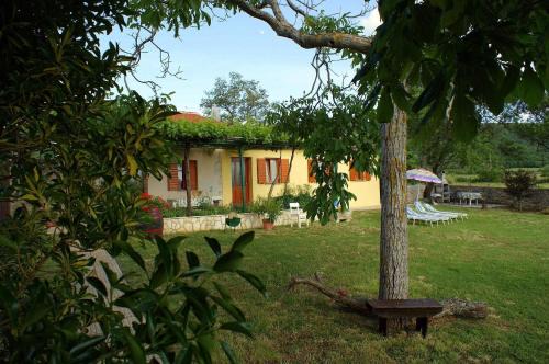 Salakovci House | Charmantes Ferienhaus In Bartići Mit Terrasse