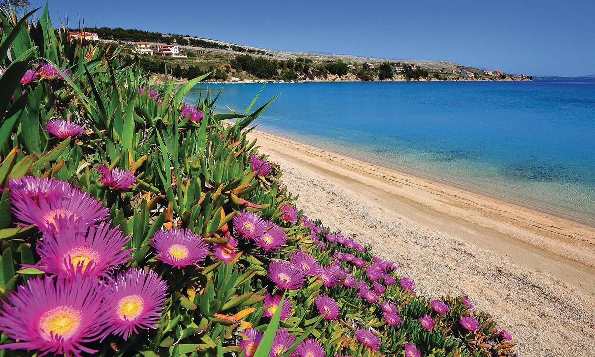 Metajna Apartment | Do you fancy a relaxing vacation in Croatia with a fantastic view of the sea.
