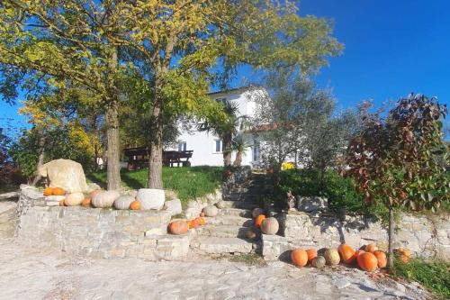 Buzet House | Family friendly house with a swimming pool Juradi, Central Istria - Sredisnja Istra - 24271