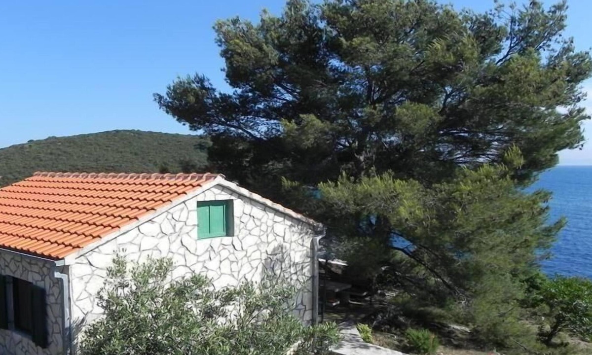 Donje Selo House | Ferienhaus in Maslinica mit Großer Terrasse