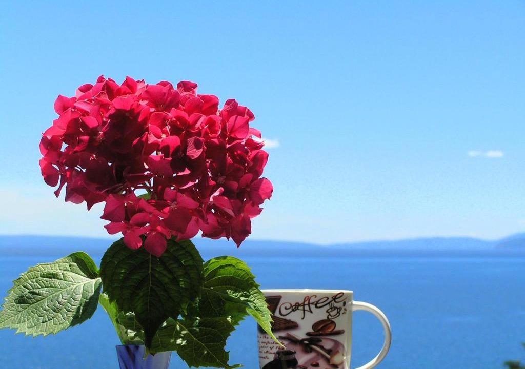 Volosko House | Guest House Lifestyle Holiday