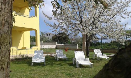 Vinkuran House | Guest house MIA