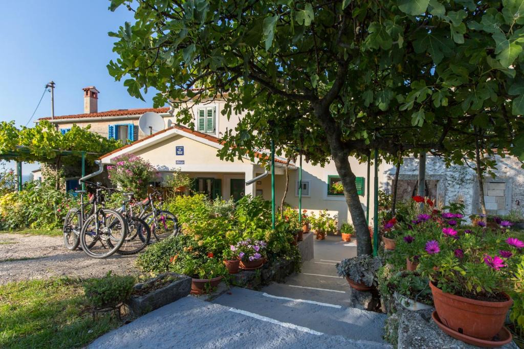 Bartici House | Haus Valerija