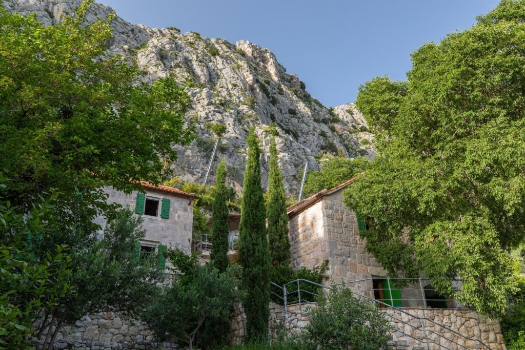 Borak Apartment | Holiday Homes Baučić