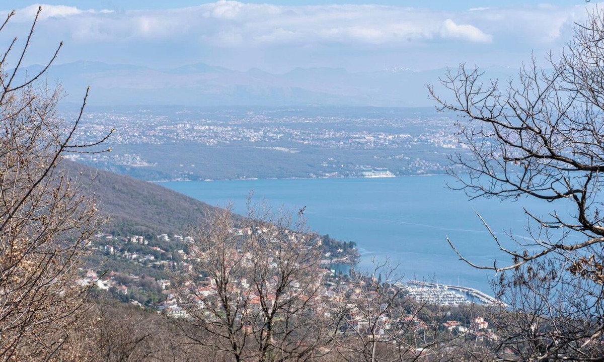 Opatija Apartment | Lovely apartment for 2 guests with A/C, WIFI, TV, terrace and pets allowed