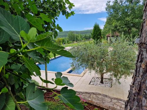 Sterna Bed & Breakfast | Rooms Stancija Ruseti
