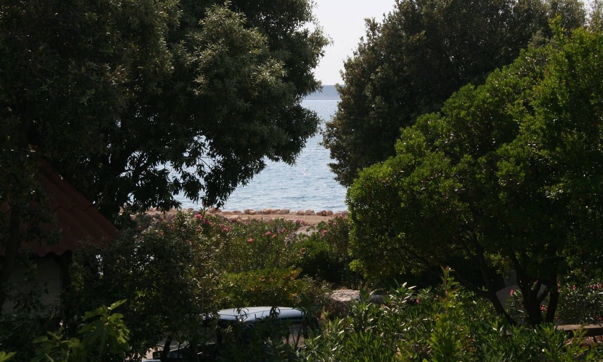 Mandre Apartment | Studio flat near beach Mandre, Pag (AS-6518-a)