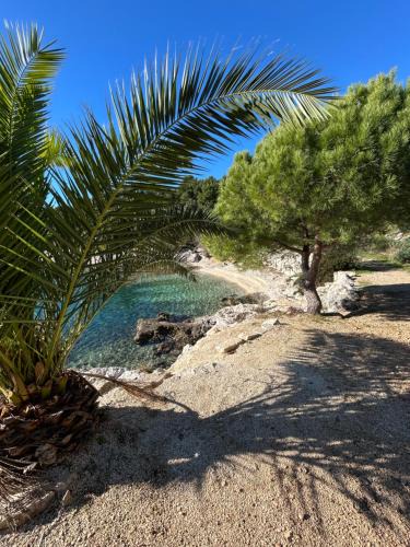 Okrug Gornji Apartment | Trogir Čiovo nice studio apartment near the sea in Okrug