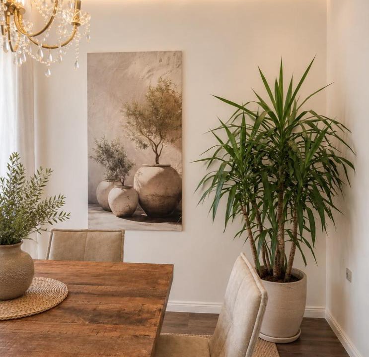 Banjole Apartment | Villa Olivia