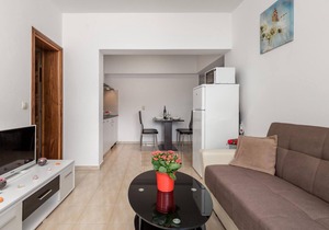 1 bedroom awesome apartment in Vrh