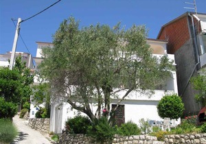 90 m² Apartment ∙ 2 bedrooms ∙ 5 guests