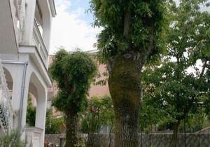 Apartment Vantacici 427d
