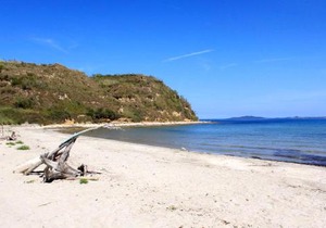 Apartments with WiFi Susak, Losinj - 8047