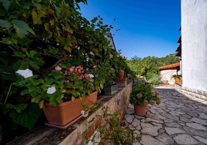 Holiday apartment with terrace and air conditioning