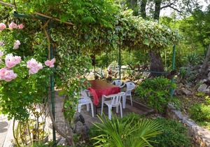 Holiday apartment with a terrace and the possibility of using the grill