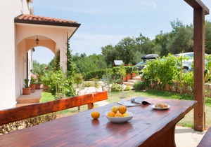 Holiday apartment with air conditioning and Internet access