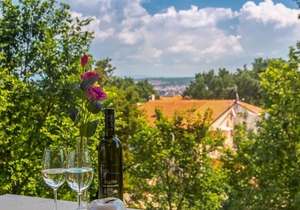 Lovely apartment Mike 2 with terrace surrounded by greenery