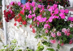 One bedroom Apartment Biro Kestenovi A7 near Opatija