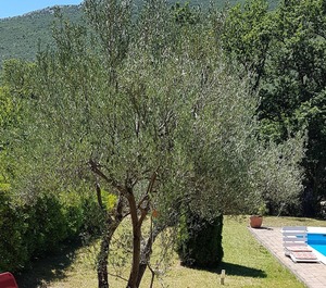 Holiday Villa Terna 
