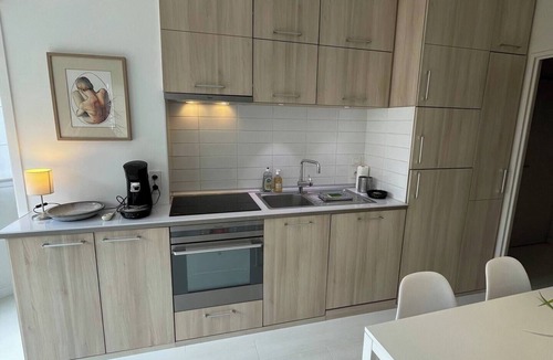 Old Lille Apartment | 2 rooms old lille, superb terrace, parking