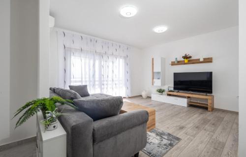 Veprinac Apartment | Amazing Apartment In Kolavici With House Sea View