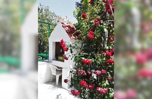 Palit Apartment | Ap Daisy M - 9 Personen