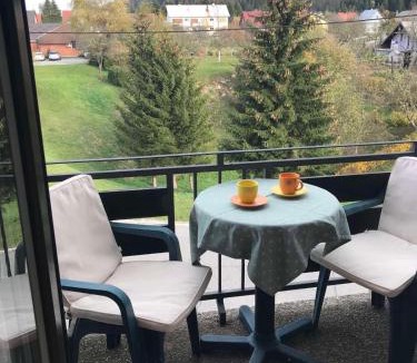 Ravna Gora Apartment | Apartman Bosco