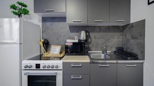 Cvetkovic Apartment | Apartman Grey