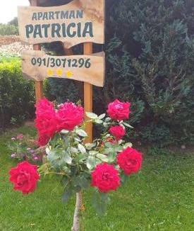 Lic Apartment | Apartman Patricia