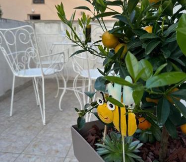 Veljun Primorski Apartment | Apartman Paulina 1