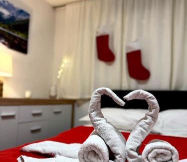 Delnice Apartment | Apartman Ružić