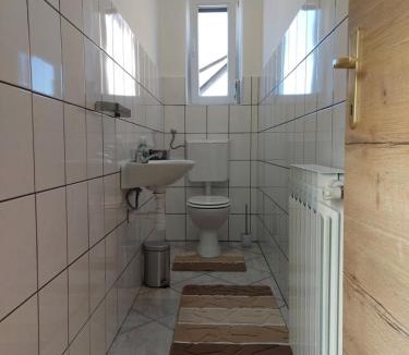Delnice Apartment | Apartman Tinče