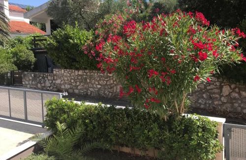 Artatore Apartment | Apartmani Artatore