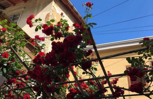 Ika Apartment | Apartmani Banina