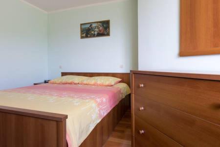 Veprinac Apartment | Apartmani Irena