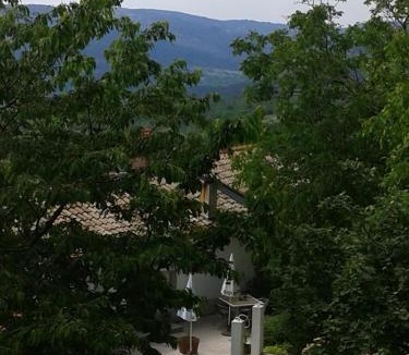 Buzet Apartment | Apartment Bella Vista 2