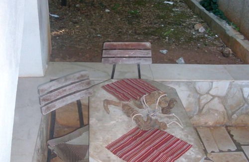 Stomorska Apartment | Apartment Bob - 10m from the sea A4-Lorena 9(5) - Stomorska, Island Solta, Croatia