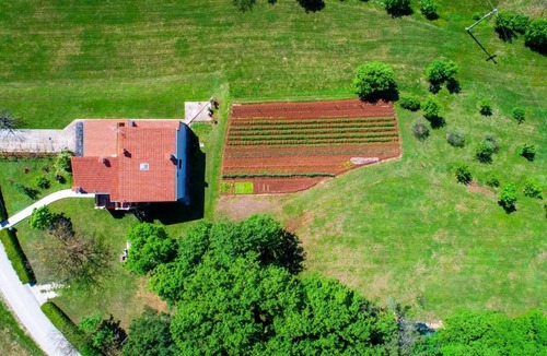 Manjadvorci Apartment | Apartment Bruno - spacious yard: - Barban, Istria, Croatia