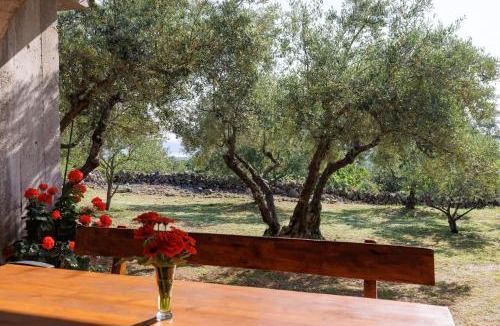Nenadici Apartment | Apartment Depikolo *countryside holiday