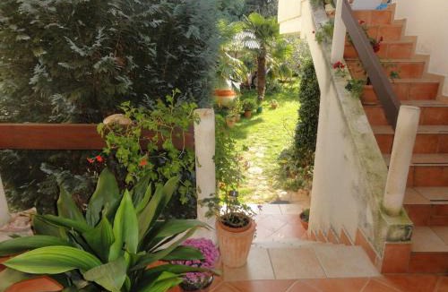 Banjole Apartment | Apartment for 2, Sinisa in Banjole