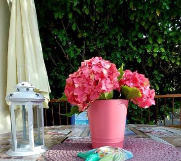 Soline Apartment | Apartment Luka