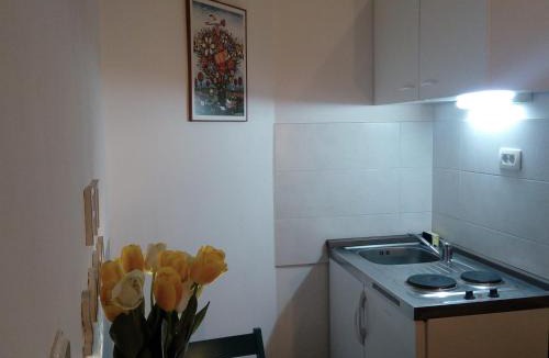 Split Apartment | Apartment Optimist/City Break