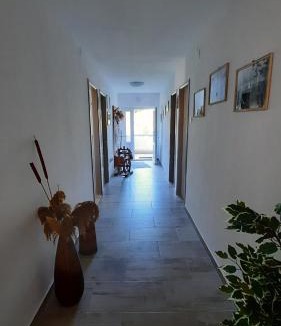 Veli Losinj Apartment | Apartment PinoAppLosinj