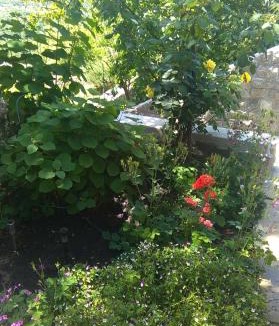 Grabri Apartment | Apartment Pud Oreh